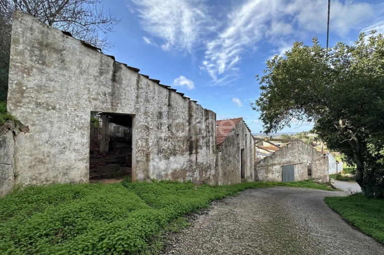 Terreno Comércio / Armazém para Venda em São Bartolomeu de Messines Foto 4