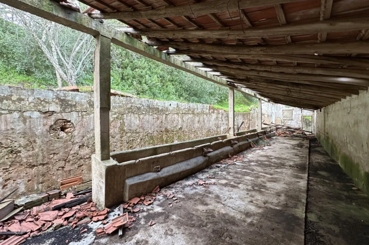 Terreno Comércio / Armazém para Venda em São Bartolomeu de Messines Foto 14