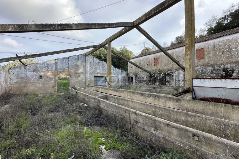 Terreno Comércio / Armazém para Venda em São Bartolomeu de Messines Foto 8
