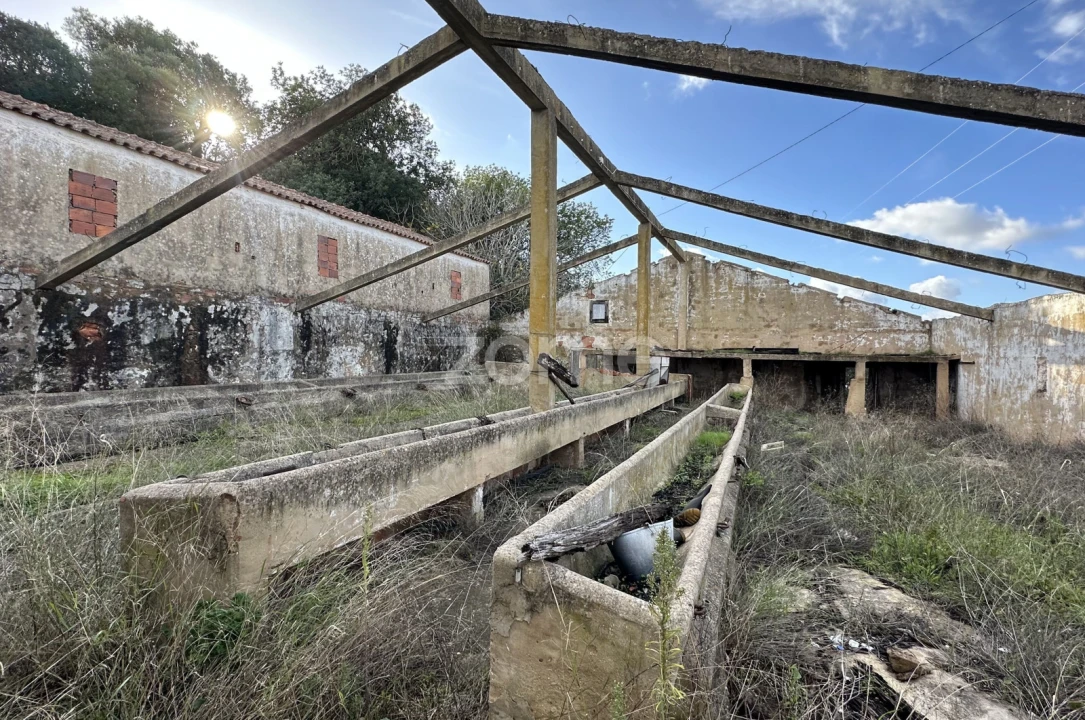 Terreno Comércio / Armazém para Venda em São Bartolomeu de Messines Foto 7