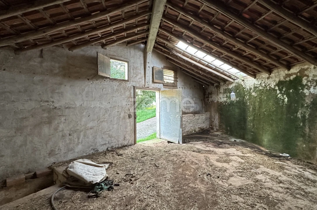 Terreno Comércio / Armazém para Venda em São Bartolomeu de Messines Foto 11