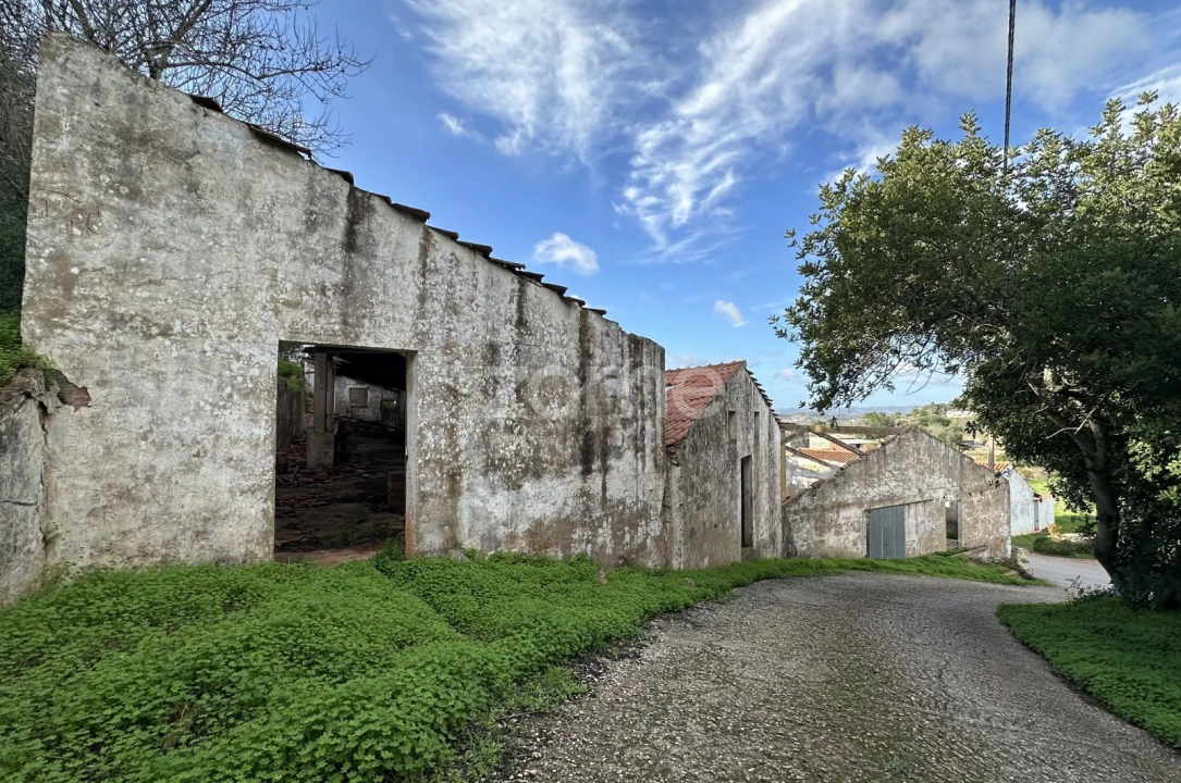 Terreno Comércio / Armazém para Venda em São Bartolomeu de Messines Foto 4