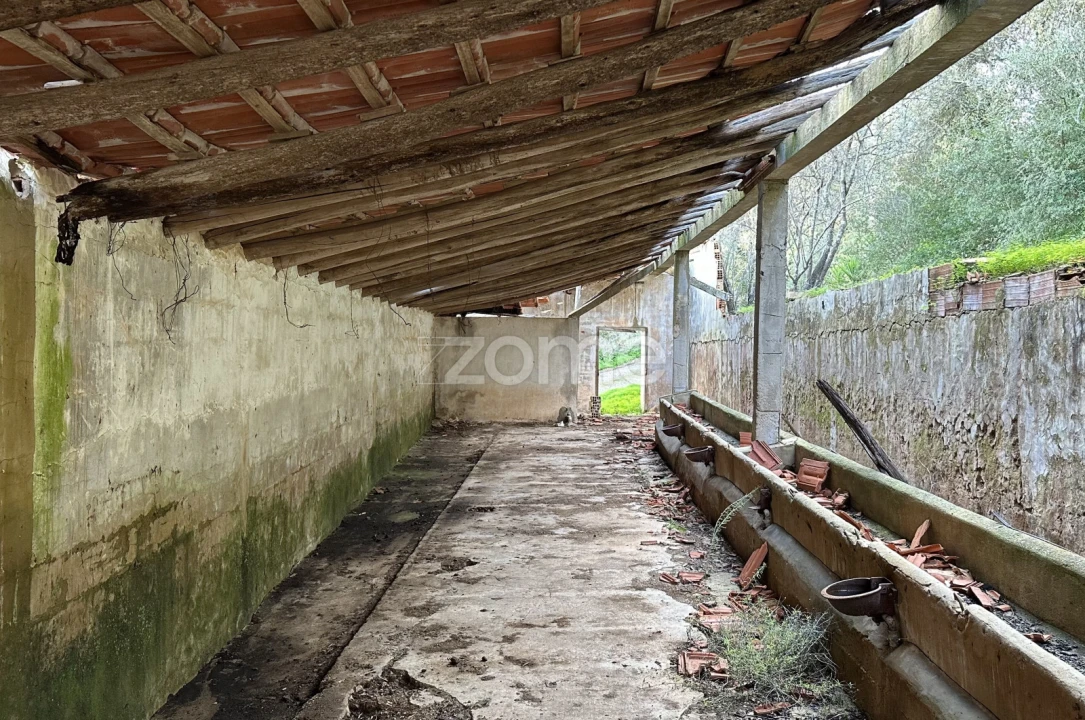 Terreno Comércio / Armazém para Venda em São Bartolomeu de Messines Foto 13