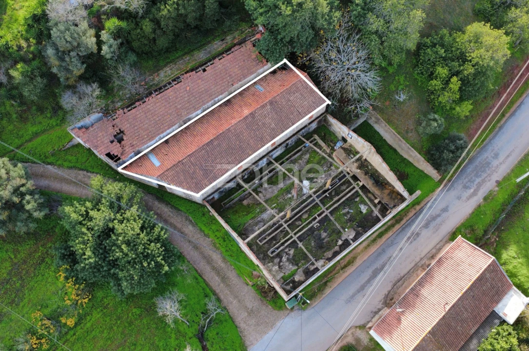 Terreno Comércio / Armazém para Venda em São Bartolomeu de Messines Foto 9