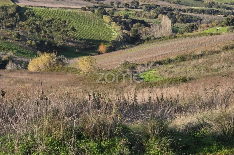 Terreno para Venda em Turcifal Foto 14