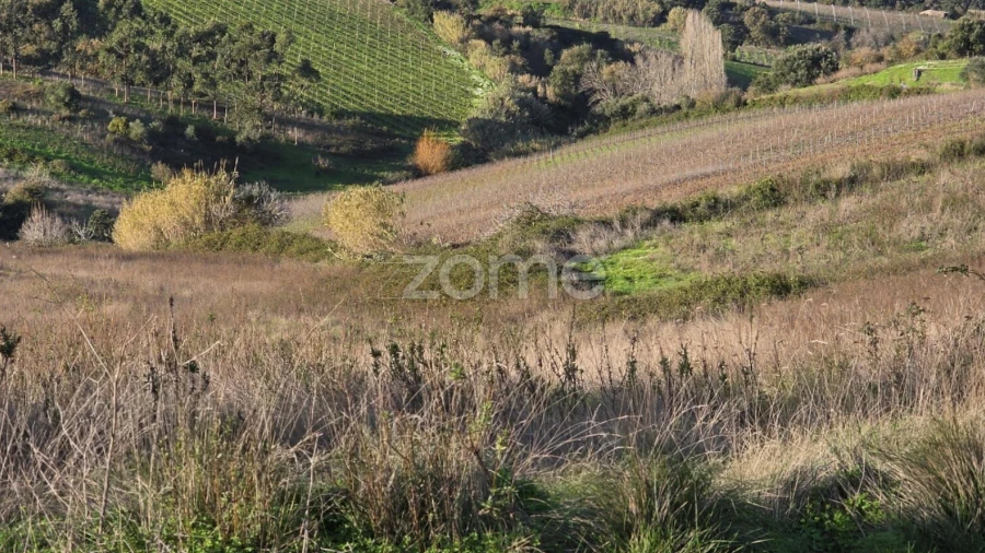 Terreno para Venda em Turcifal