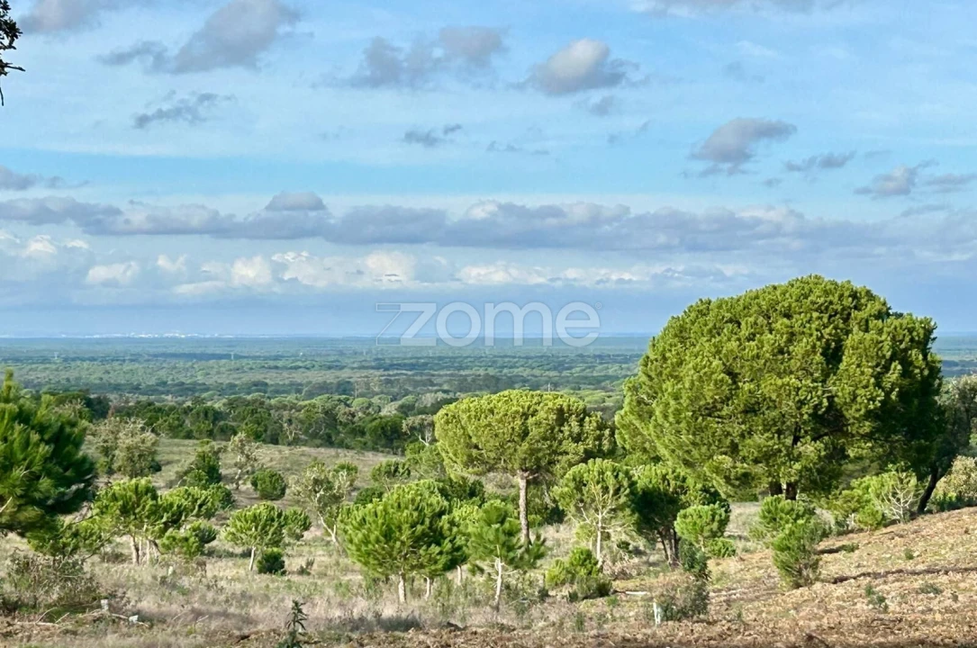 Terreno para Venda em Grândola e Santa Margarida da Serra Foto 4