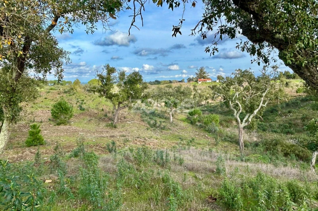 Terreno para Venda em Grândola e Santa Margarida da Serra Foto 5