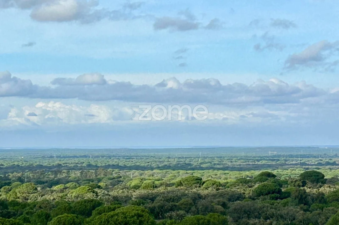 Terreno para Venda em Grândola e Santa Margarida da Serra Foto 7