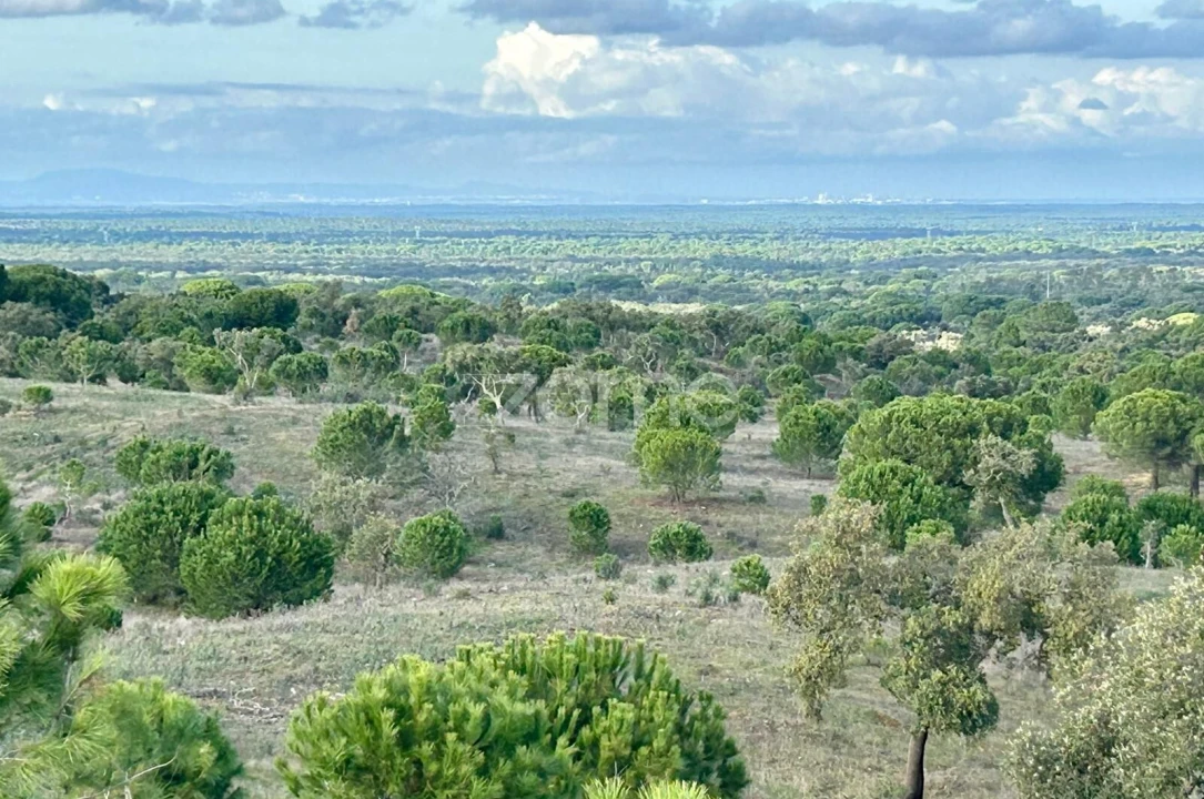 Terreno para Venda em Grândola e Santa Margarida da Serra Foto 2