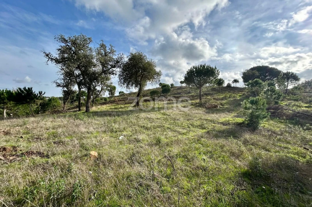 Terreno para Venda em Grândola e Santa Margarida da Serra Foto 13