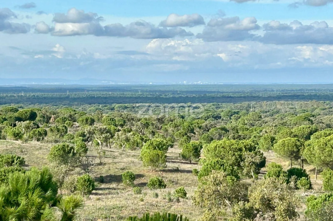 Terreno para Venda em Grândola e Santa Margarida da Serra Foto 12