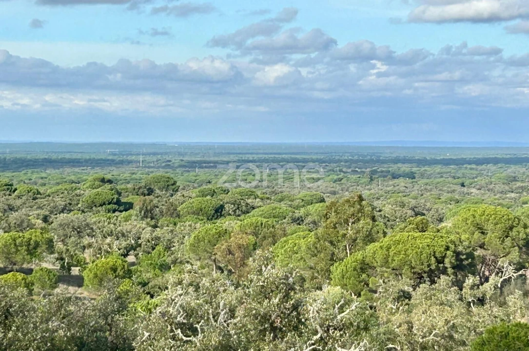Terreno para Venda em Grândola e Santa Margarida da Serra Foto 1