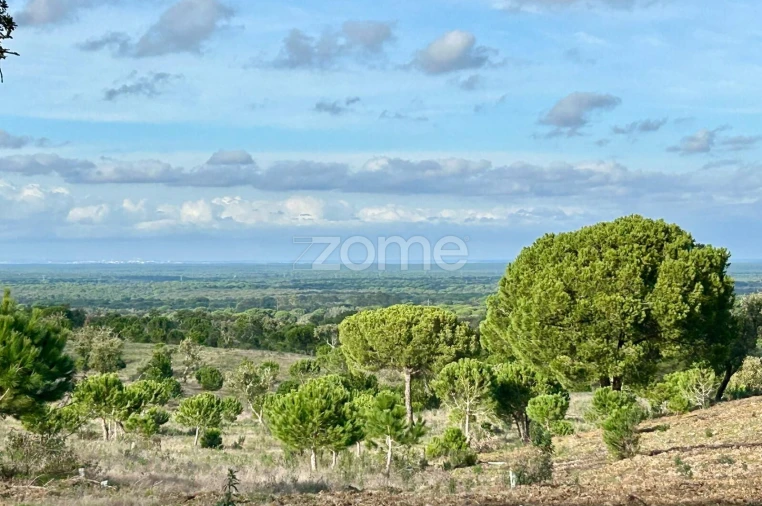 Terreno para Venda em Grândola e Santa Margarida da Serra Foto 4