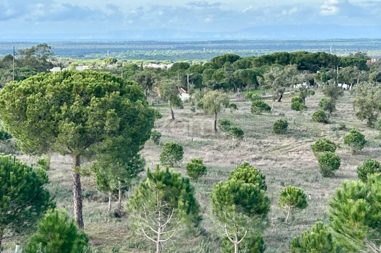 Terreno para Venda em Grândola e Santa Margarida da Serra Foto 8