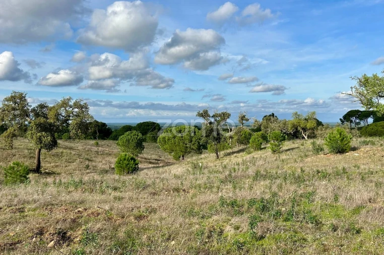 Terreno para Venda em Grândola e Santa Margarida da Serra Foto 10