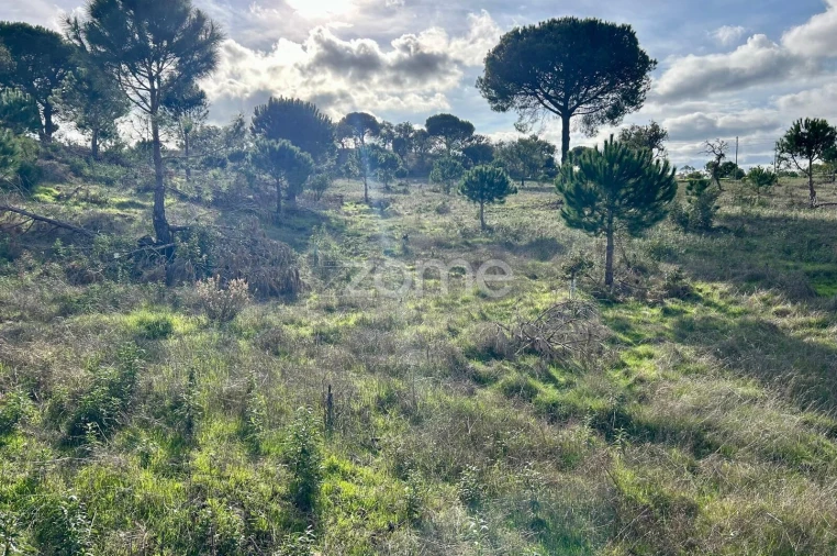 Terreno para Venda em Grândola e Santa Margarida da Serra Foto 11