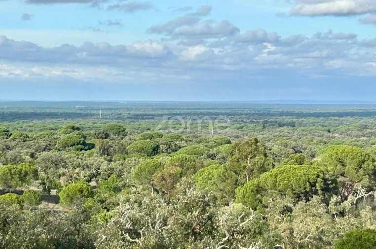 Terreno para Venda em Grândola e Santa Margarida da Serra Foto 1