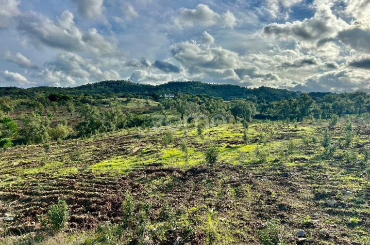 Terreno para Venda em Grândola e Santa Margarida da Serra Foto 16