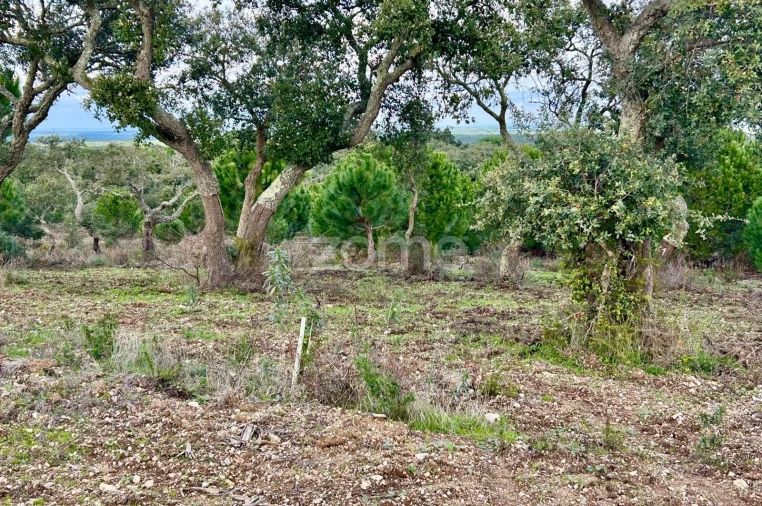 Terreno para Venda em Grândola e Santa Margarida da Serra Foto 17