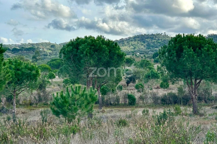 Terreno para Venda em Grândola e Santa Margarida da Serra Foto 18