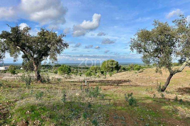 Terreno para Venda em Grândola e Santa Margarida da Serra Foto 9