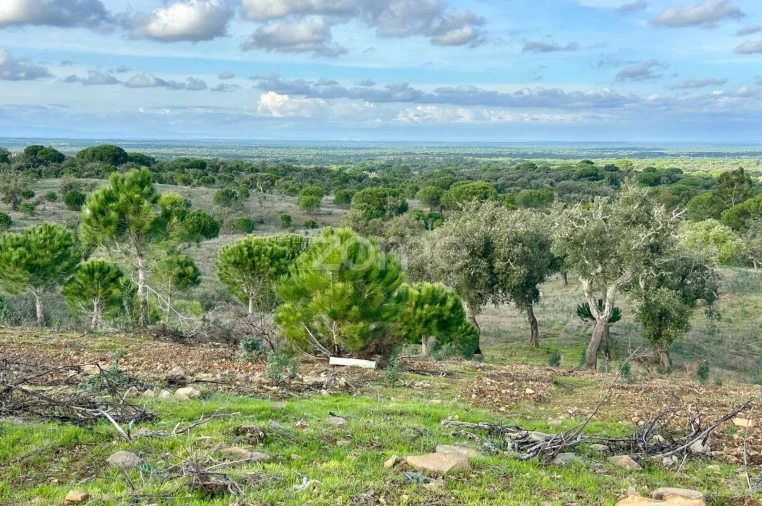 Terreno para Venda em Grândola e Santa Margarida da Serra Foto 14