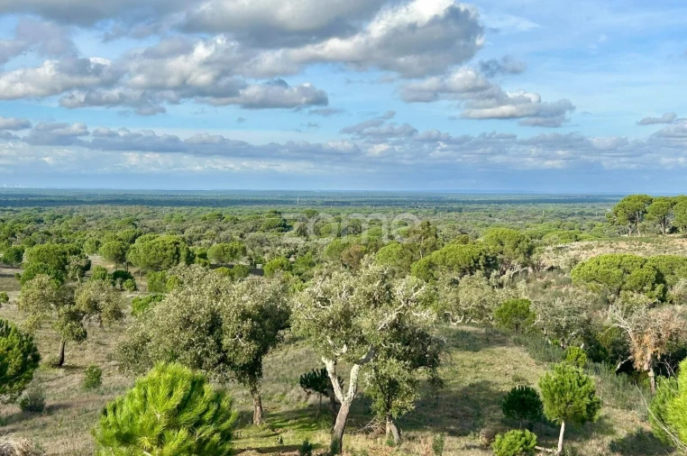 Terreno para Venda em Grândola e Santa Margarida da Serra Foto 19