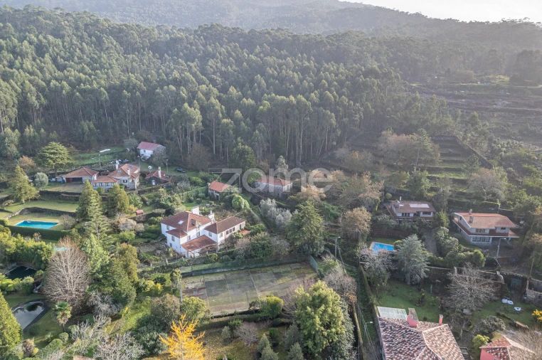 Quinta T4 para Venda em Afife Foto 12