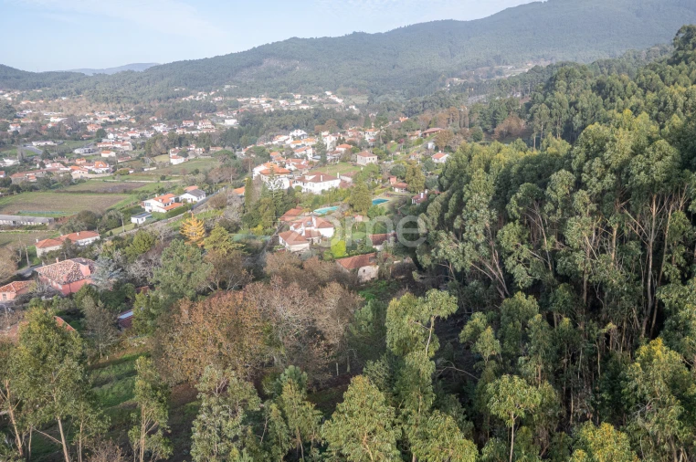 Quinta T4 para Venda em Afife Foto 15