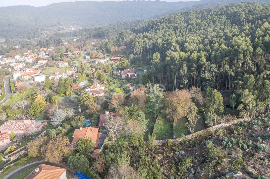 Quinta T4 para Venda em Afife Foto 11