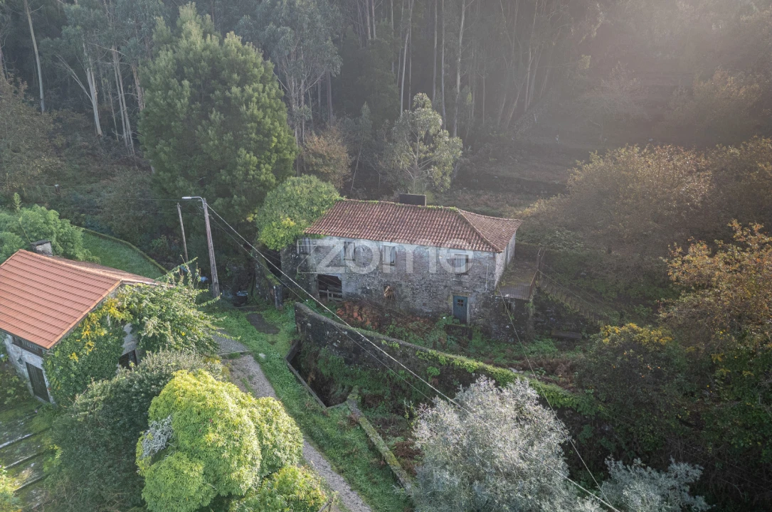 Quinta T4 para Venda em Afife Foto 16