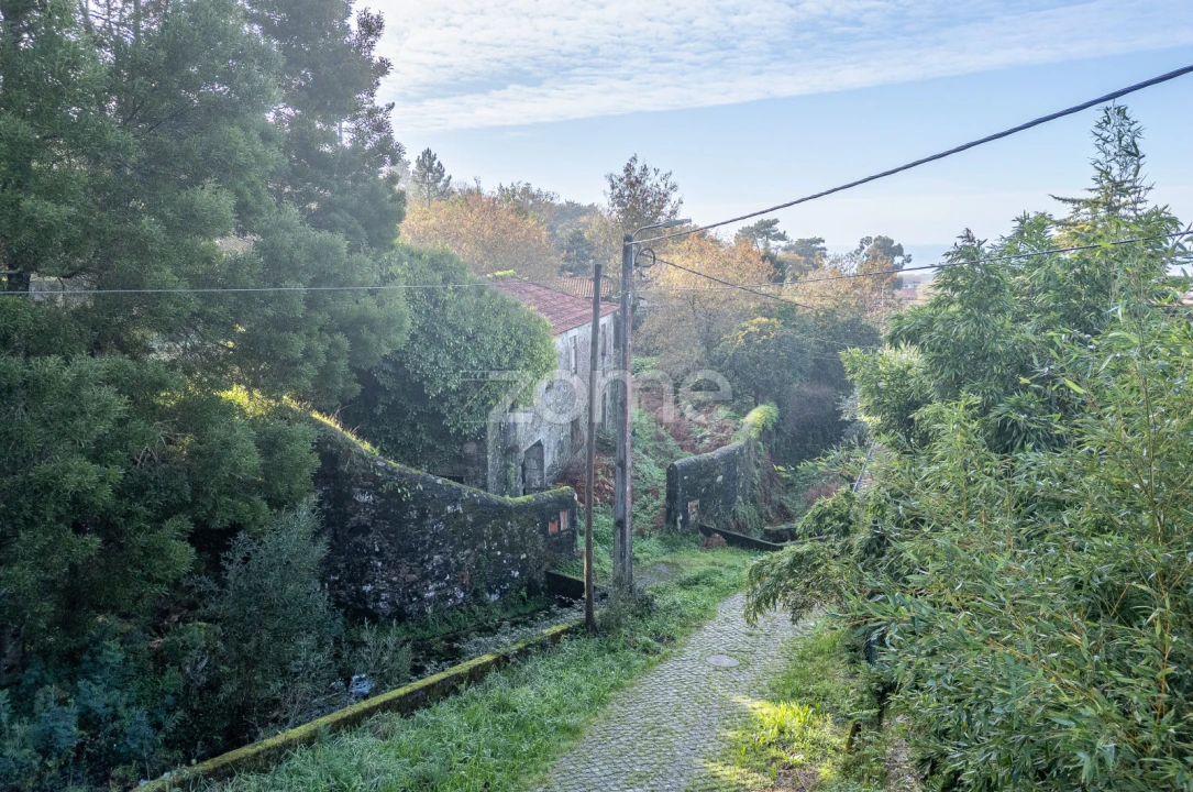 Quinta T4 para Venda em Afife Foto 18