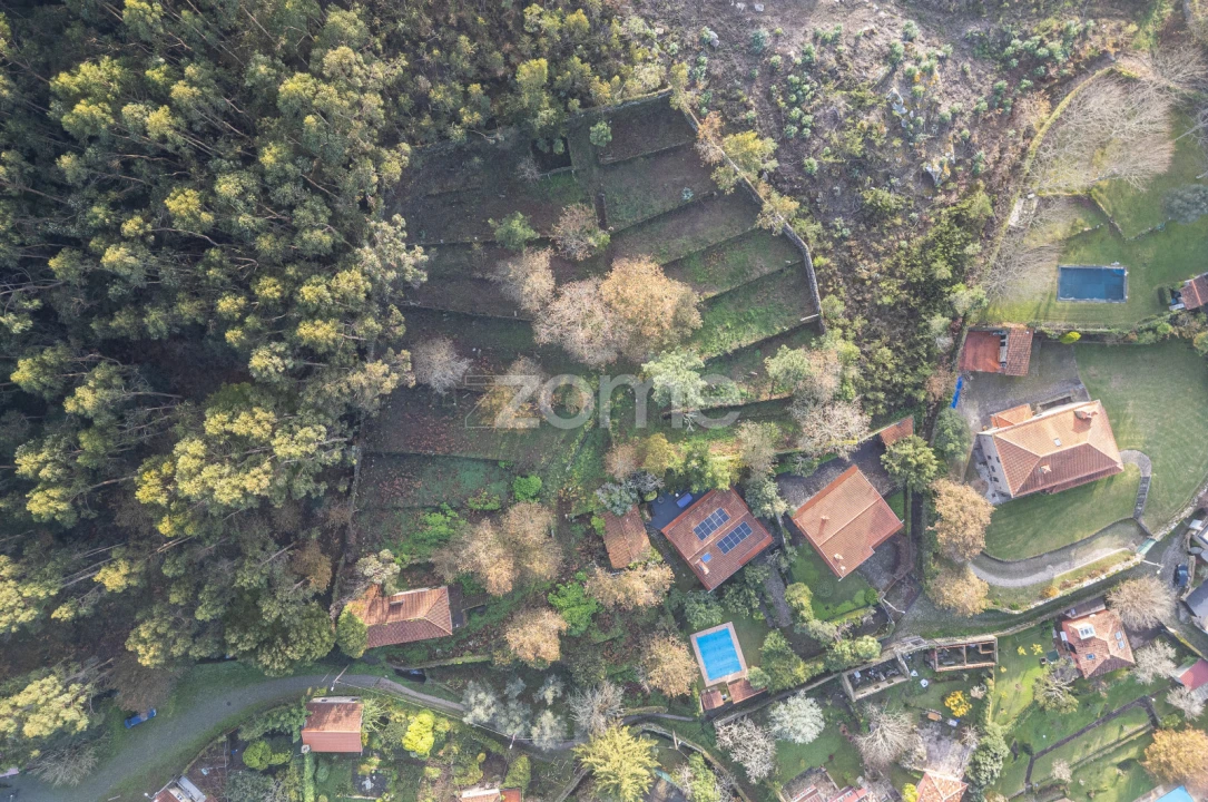 Quinta T4 para Venda em Afife Foto 5