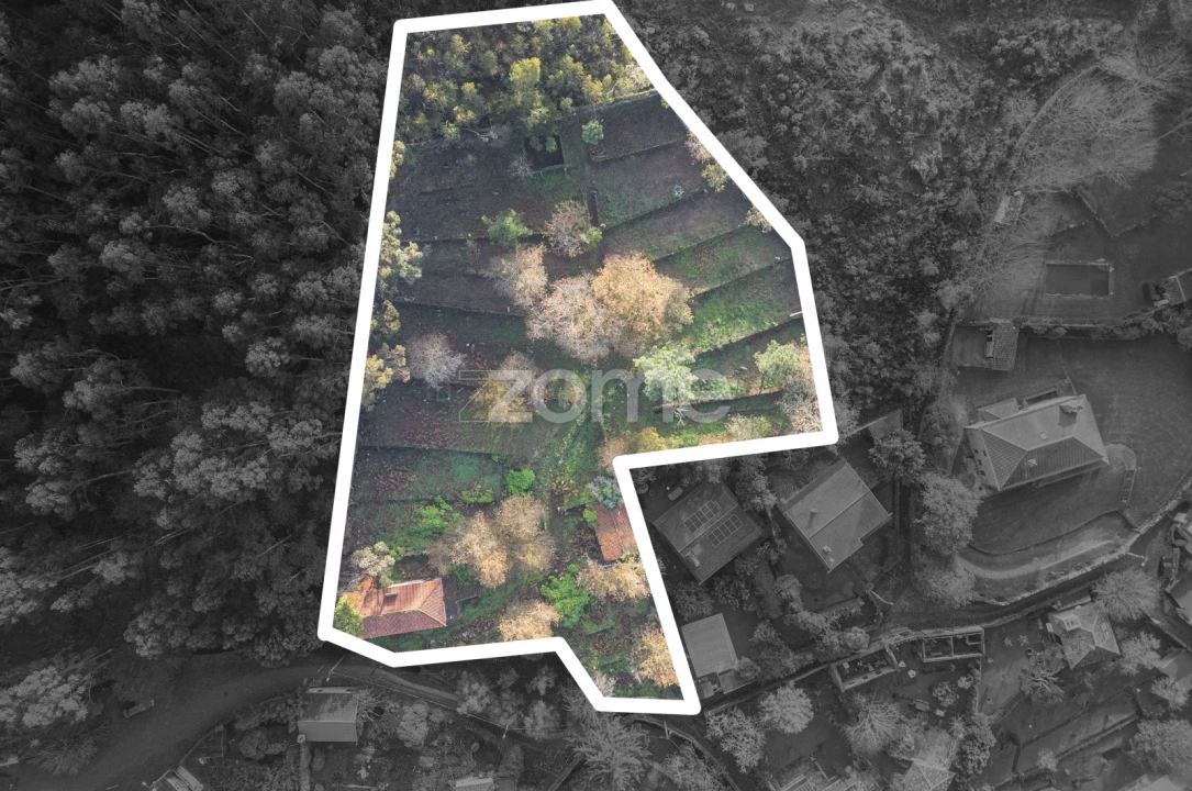 Quinta T4 para Venda em Afife Foto 20