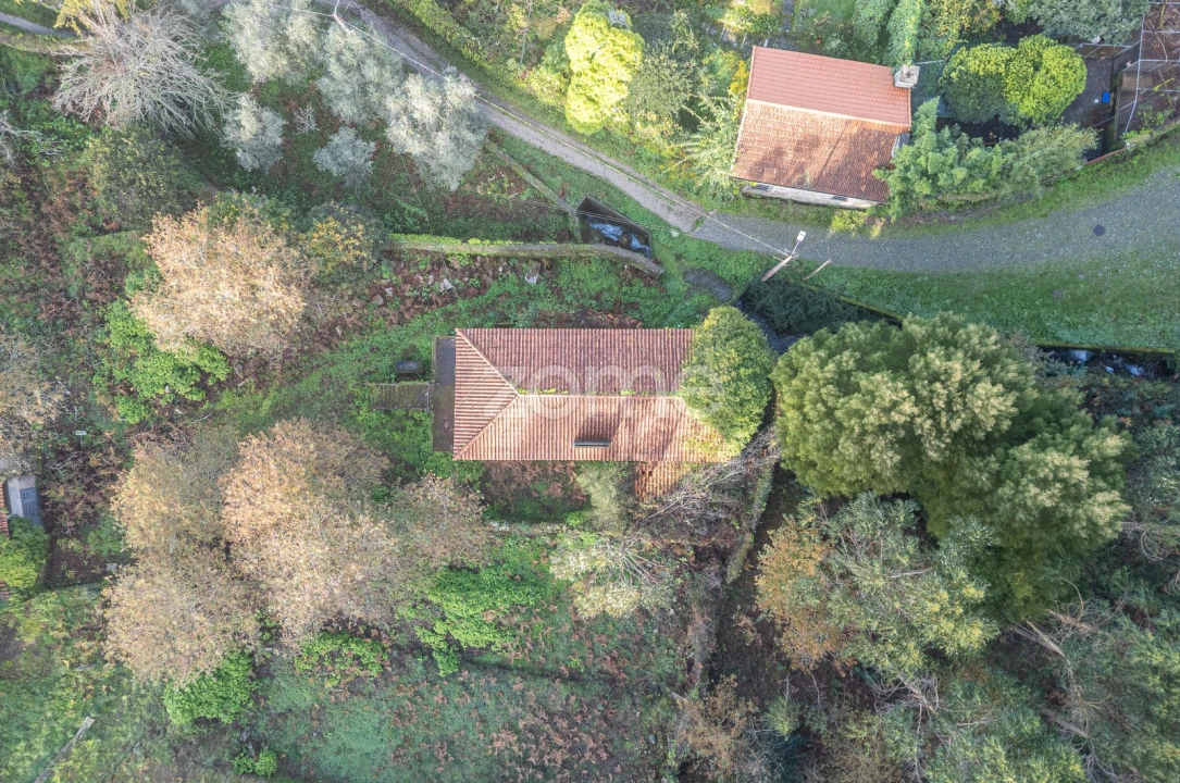 Quinta T4 para Venda em Afife Foto 6