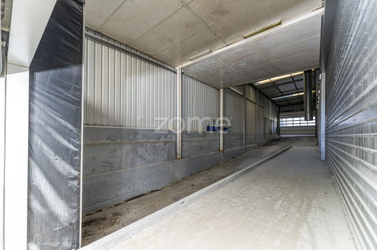 Terreno Comércio / Armazém para Venda em Antas Foto 2