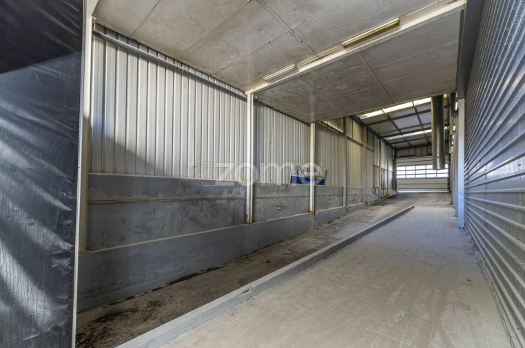 Terreno Comércio / Armazém para Venda em Antas Foto 3