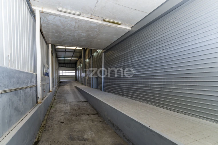 Terreno Comércio / Armazém para Venda em Antas Foto 7