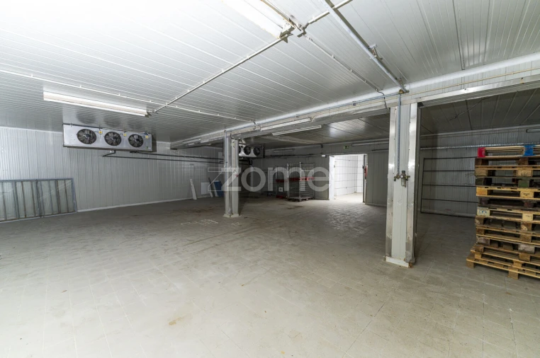 Terreno Comércio / Armazém para Venda em Antas Foto 13