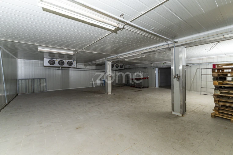 Terreno Comércio / Armazém para Venda em Antas Foto 14