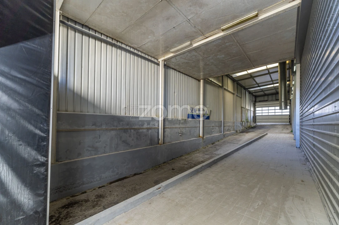 Terreno Comércio / Armazém para Venda em Antas Foto 3