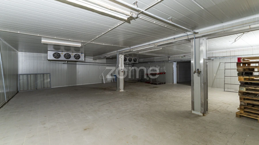 Terreno Comércio / Armazém para Venda em Antas