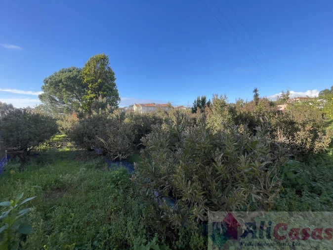 Moradia T3 para Venda em Nogueira da Regedoura Foto 51