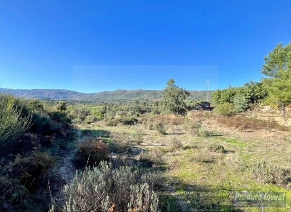 Quinta T2 para Venda em Vale de Prazeres e Mata da Rainha Foto 15