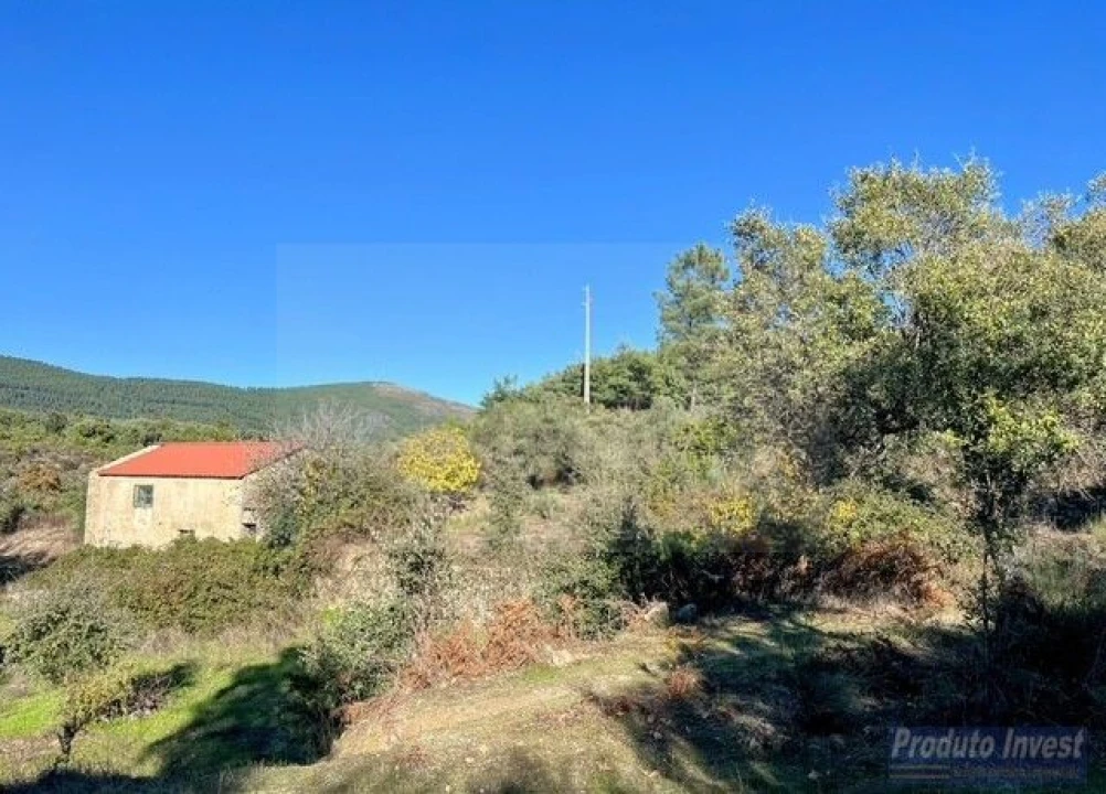 Quinta T2 para Venda em Vale de Prazeres e Mata da Rainha Foto 8