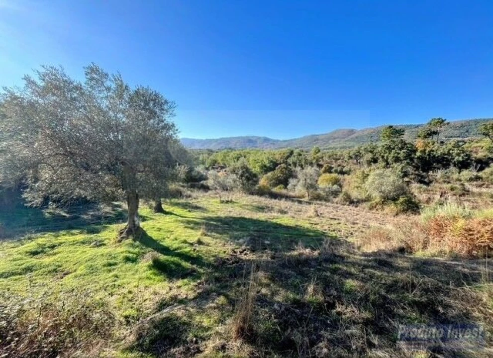 Quinta T2 para Venda em Vale de Prazeres e Mata da Rainha Foto 18