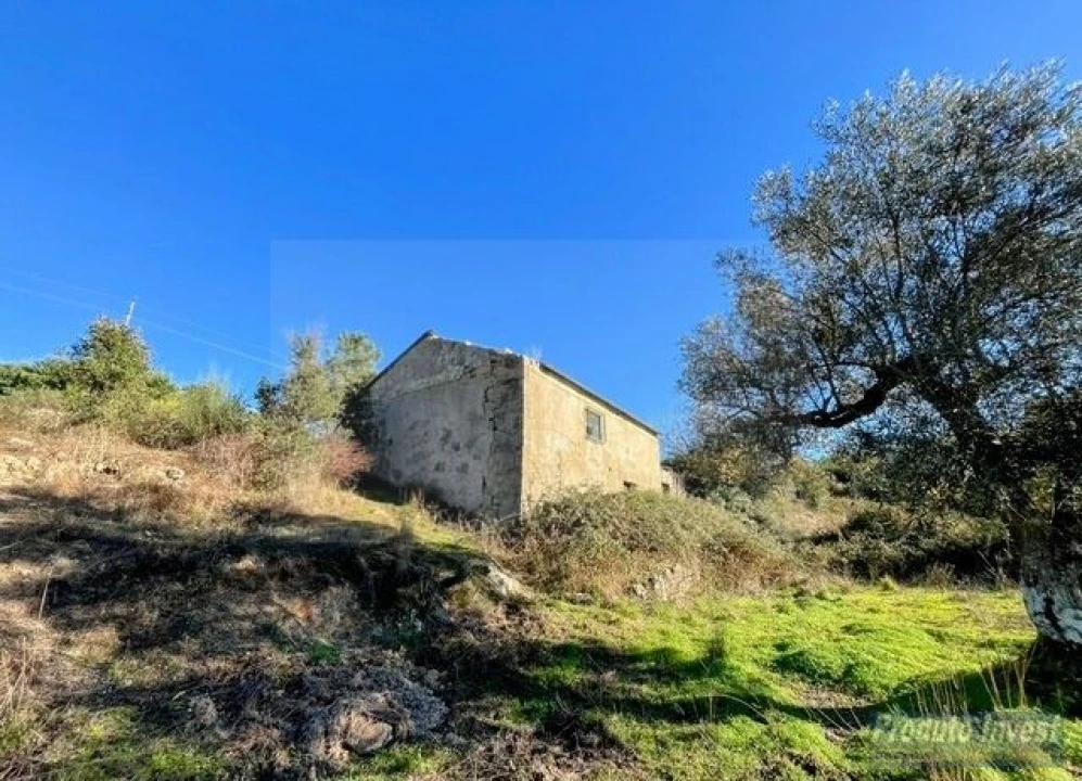 Quinta T2 para Venda em Vale de Prazeres e Mata da Rainha Foto 34