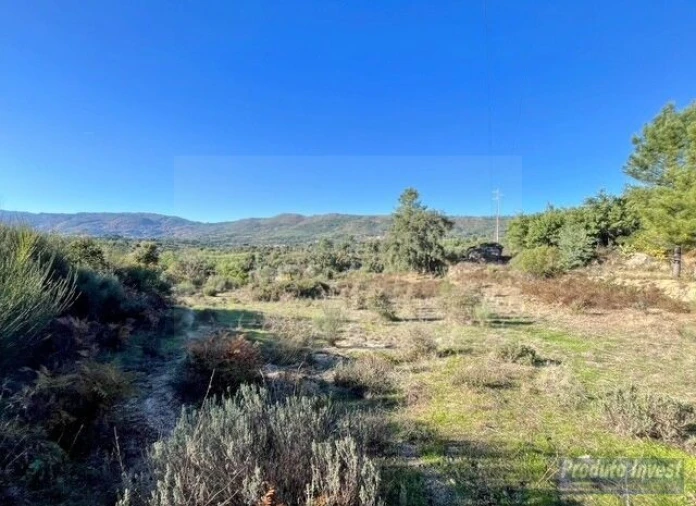 Quinta T2 para Venda em Vale de Prazeres e Mata da Rainha Foto 15