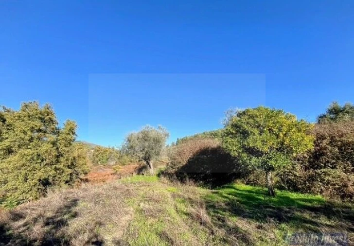 Quinta T2 para Venda em Vale de Prazeres e Mata da Rainha Foto 26